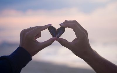 Trouver l’Amour en 36 questions